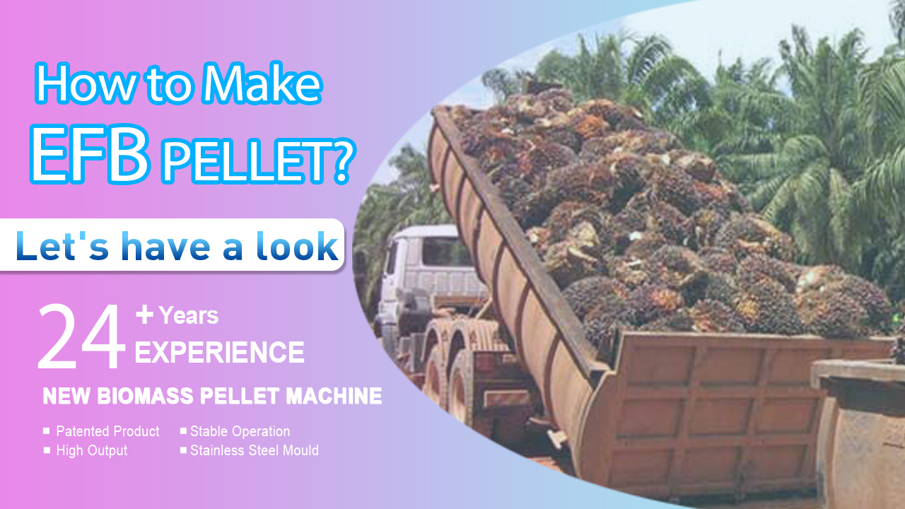 كيف تصنع EFB Pellet؟ المورد& المصنعون | يولونغ