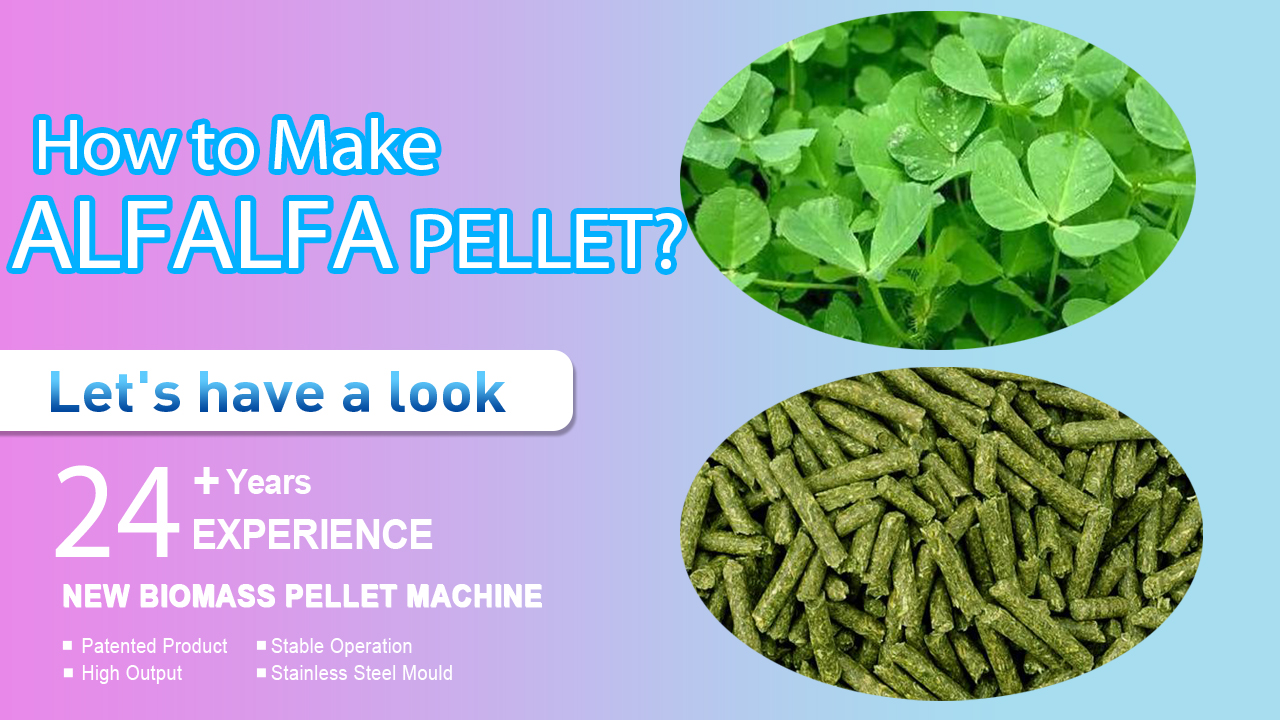How to Make Alfalfa Pellets with Alfalfa Pellet Mill | YULONG