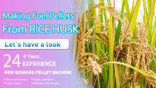 Rice Husk Pellet Processing Technology and Equipment