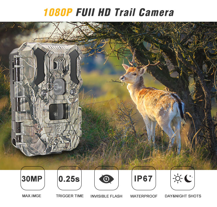 KEEPGUARD KG695 Dual Lens Trail Camera