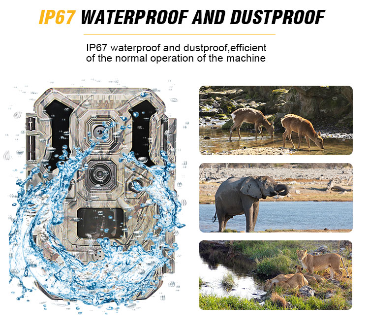 KEEPGUARD KG695 Dual Lens Trail Camera