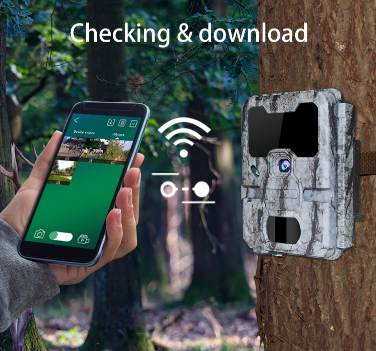 Keepguard's WIFI trail camera-KW865 take a nice video