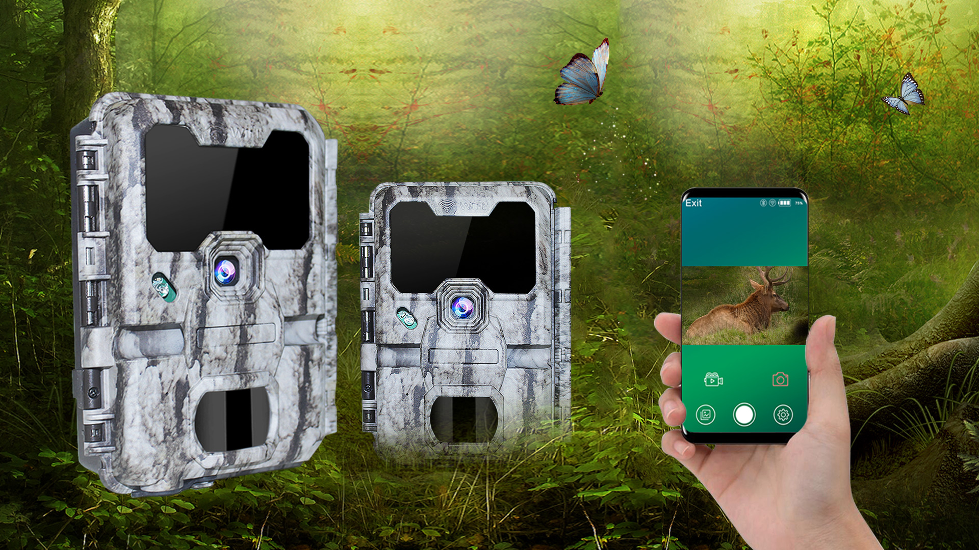 Keepguard Wifi PIR trail camera for garden security