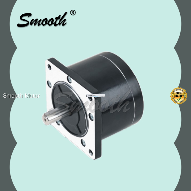 Smooth Motor | Custom 5 phase stepper motors price