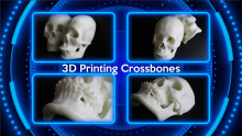 3D Printing Crossbones Supplier & Manufacturers | 3D SHAPING