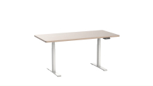 dual motor desk
