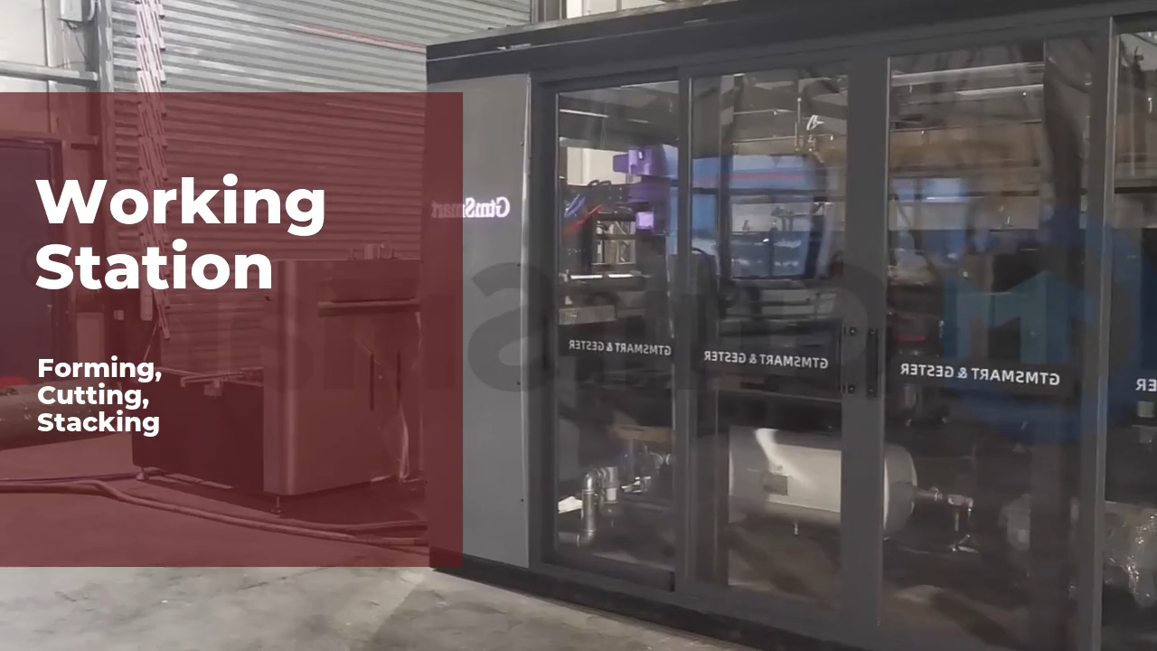 New Disposable PP Plastic Cup Thermoforming Machine GTMSMART