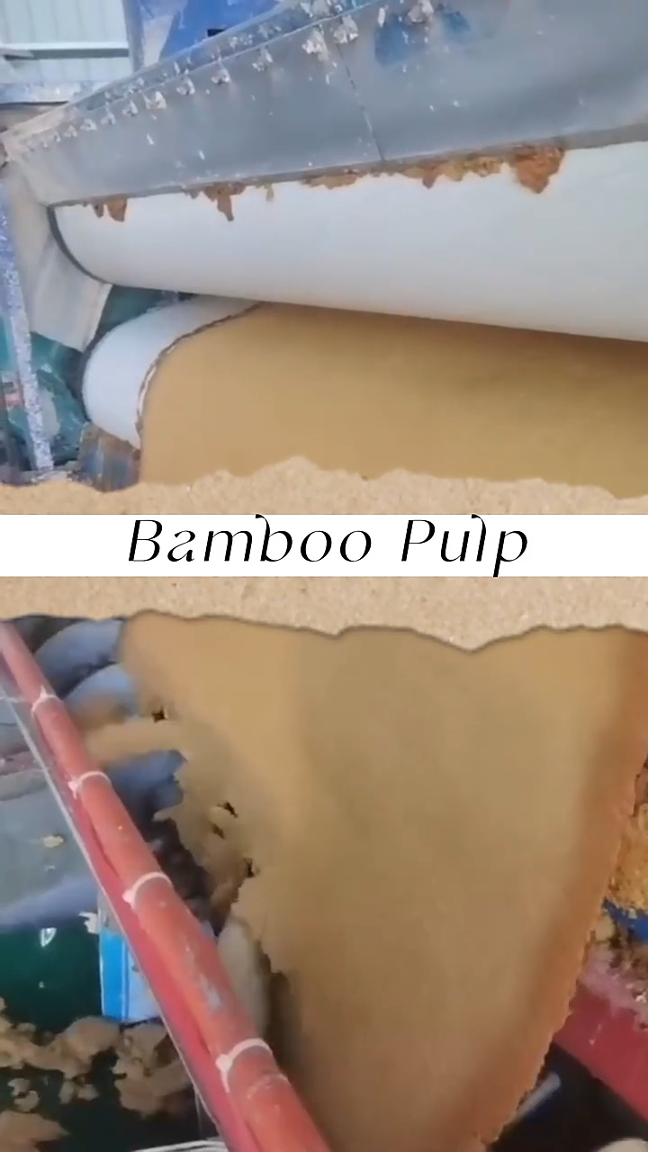 【Bamboo Pulp】How to produce Bamboo Paper pulp