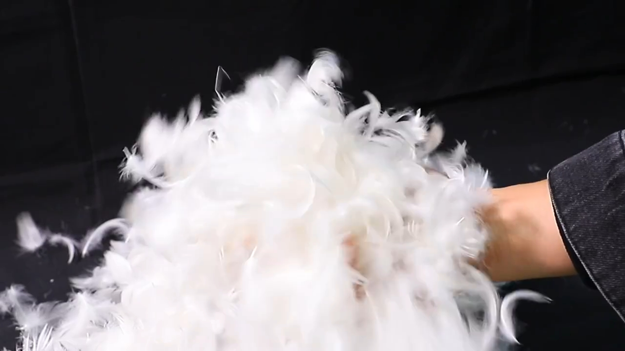  Customized factory wholesale custom 4-6cm white duck feather manufacturers From China | Rongda 