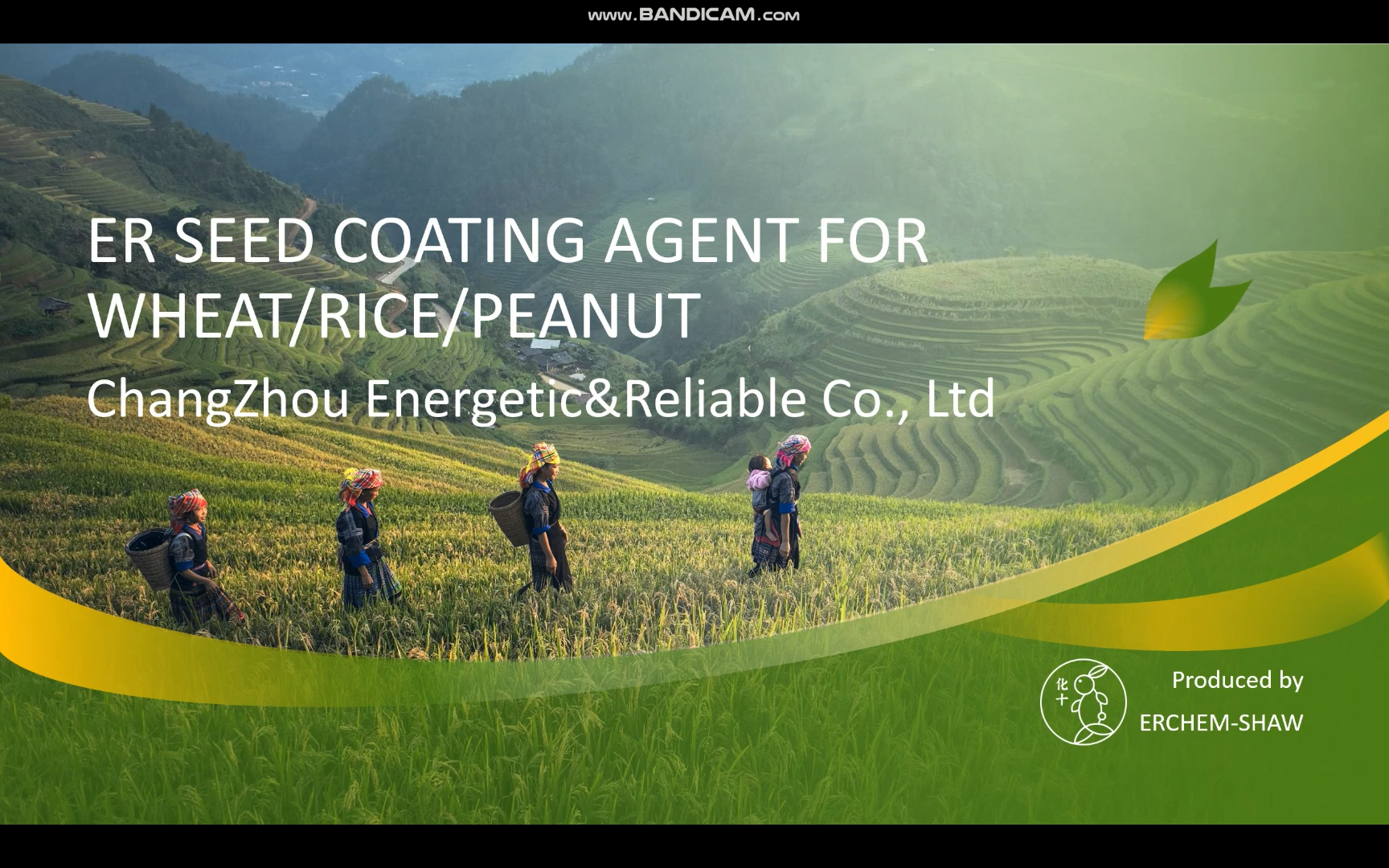 ER SEED COATING AGENT FOR WHEAT/RICE/PEANUT | ER CHEM