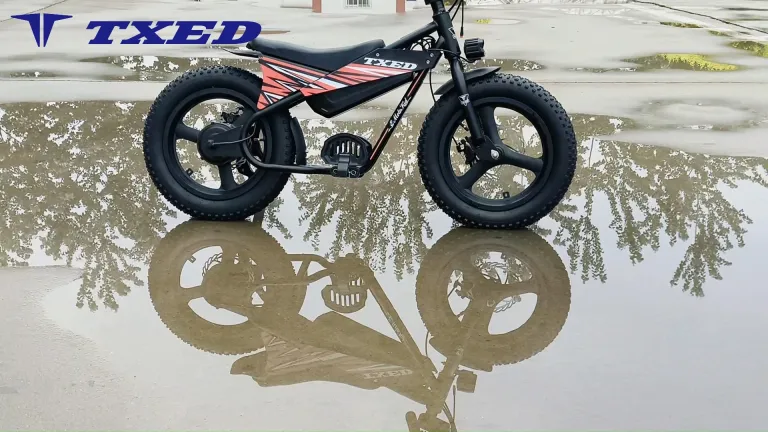 電動バイクメーカーとサプライヤー | TXED