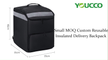 Small MOQ Custom Large Reusable Insulated Delivery Cooler Backpack DS211225