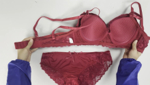 Showing Different Size of Beautiful Back Design Lace Suit For Ladies Graceful Bra Set