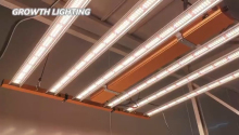 PRO-AV640 High PPE 3000K Warm White 6000K 660nm Red Full Spectrum LED Grow Light Foldable Grow Lamp Stirp for Greenhouse