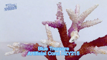 High Quality living colors artificial corals Wholesale - Qingdao Sea Salt Aquarium Technology Co., Ltd