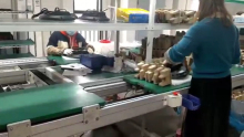 China Factory High Bay Packing Video manufacturers - GTL