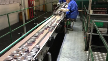 Techik Standard X-Ray Inspection System for Meat Can