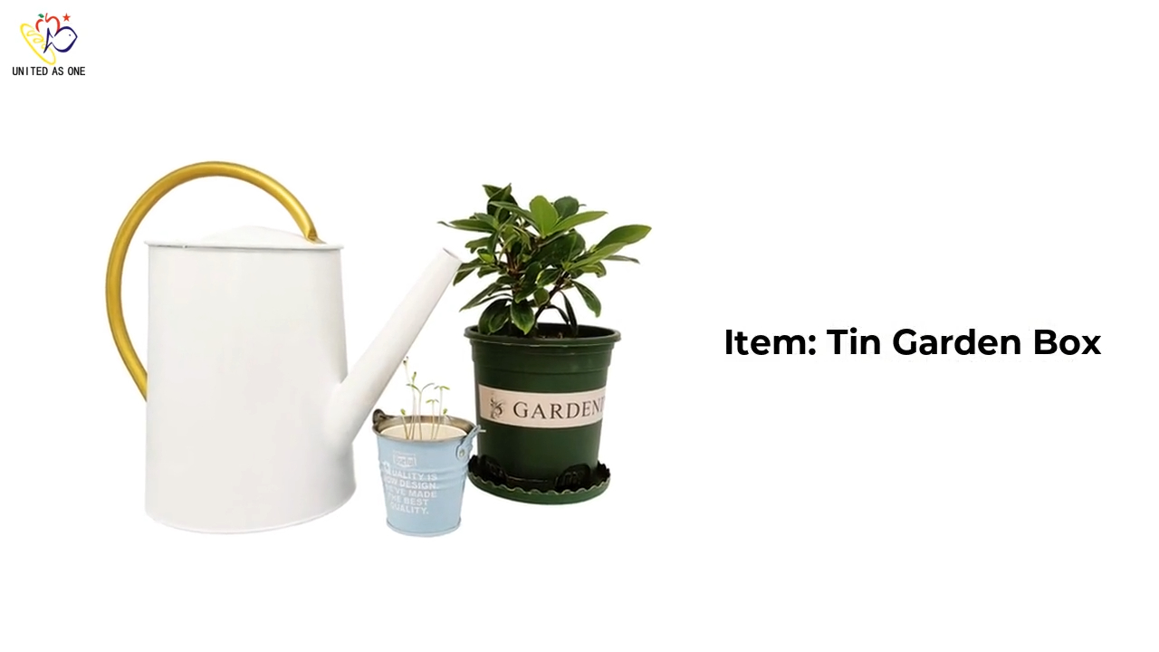 Galvanized Long Spout Watering Can for Outdoor & Indoor Plants – Color Can