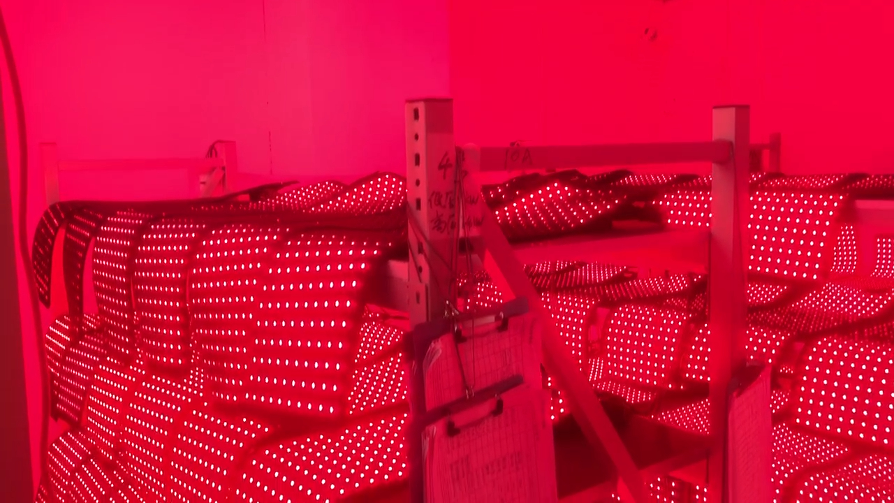 Red Light Therapy Wrap Aging Test