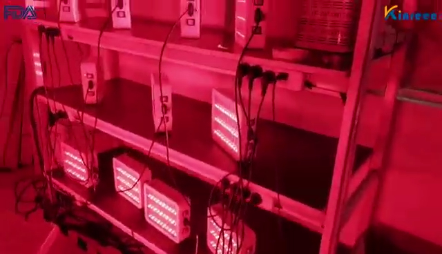 Red Light Therapy Panel Aging Test