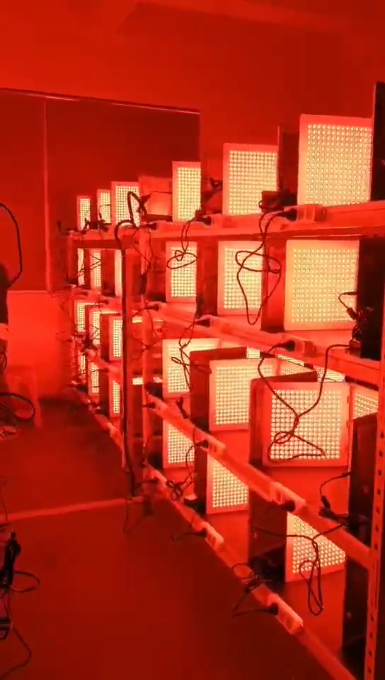Red Light Therapy Panel Aldringstest