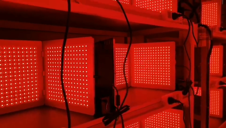 Red Light Therapy Panel Aging Test