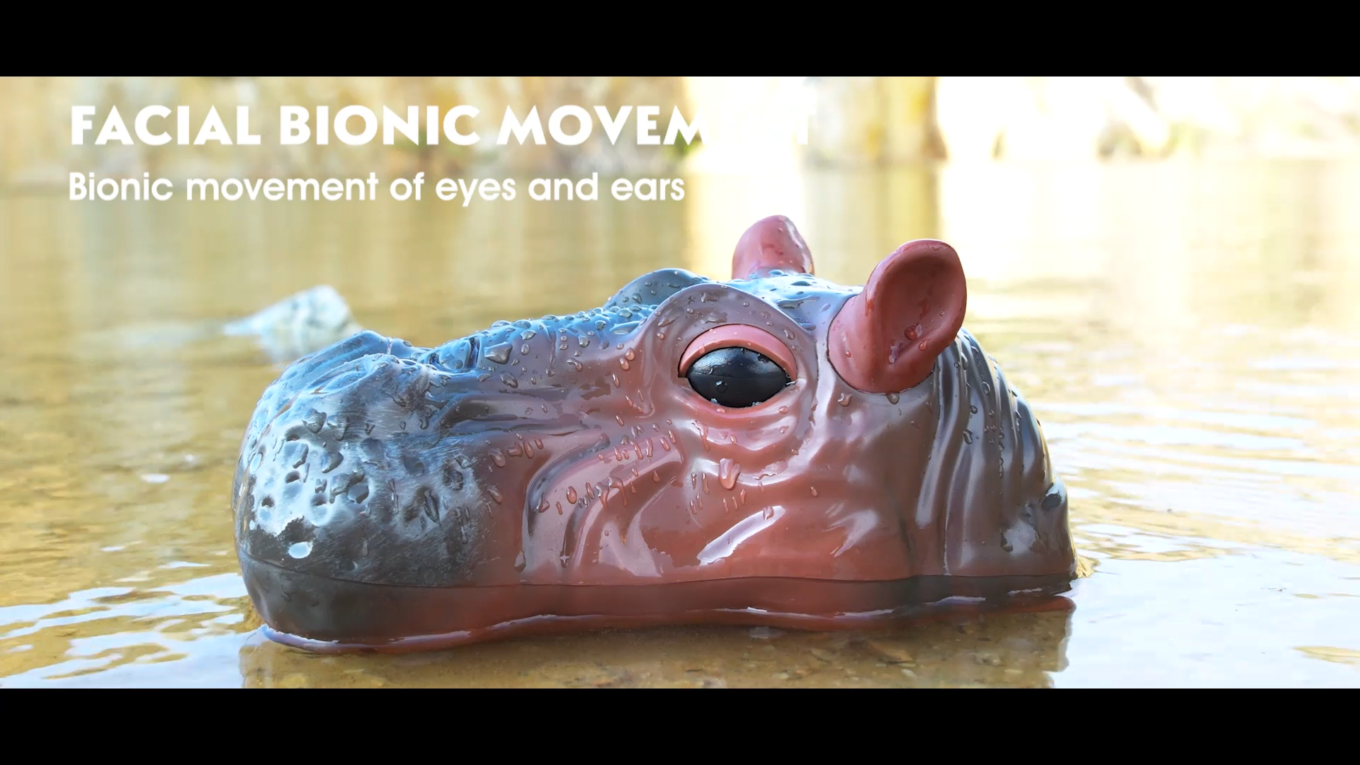 Brinquedo de água para barco hipopótamo com controle remoto GHD463970 2.4G personalizado com fabricantes de spray da China | Brinquedos GHD
