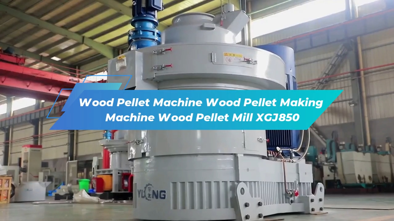 Máquina de pellets de madera Máquina para fabricar pellets de madera Molino de pellets de madera XGJ850