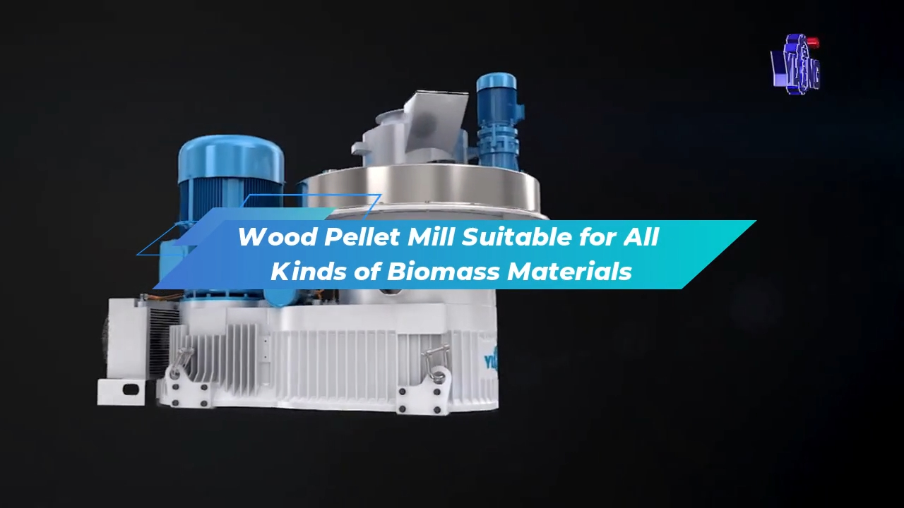 Wood Pellet Mill Suitable for All Kinds of Biomass Materials