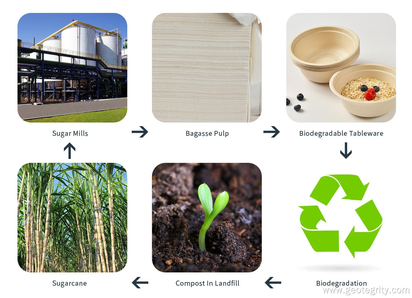 biodegradable process
