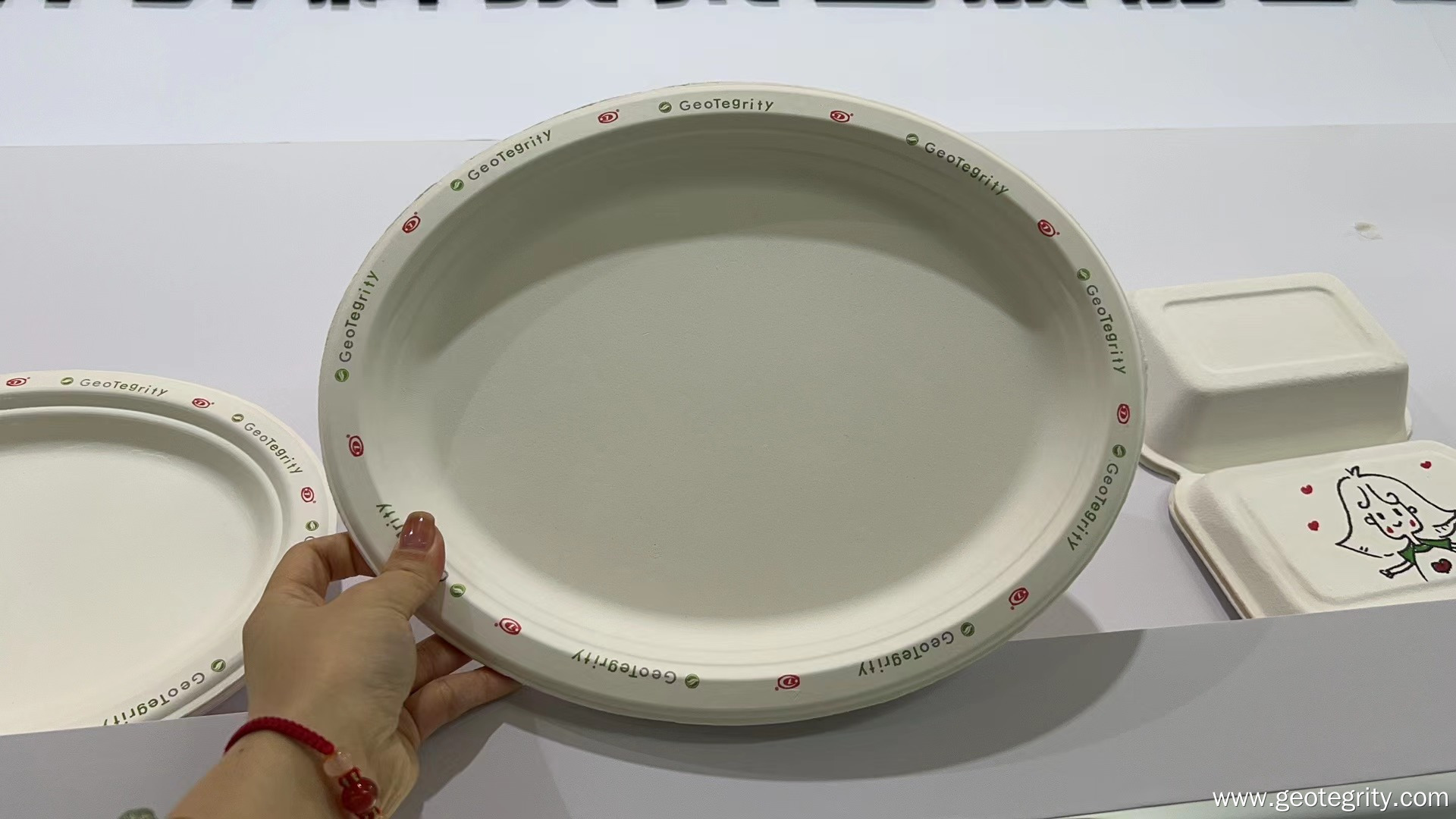 geotergity bagasse plates